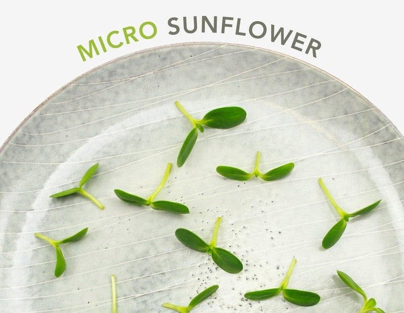 All About Micro Sunflower: Flavor, Nutrition, & Recipes