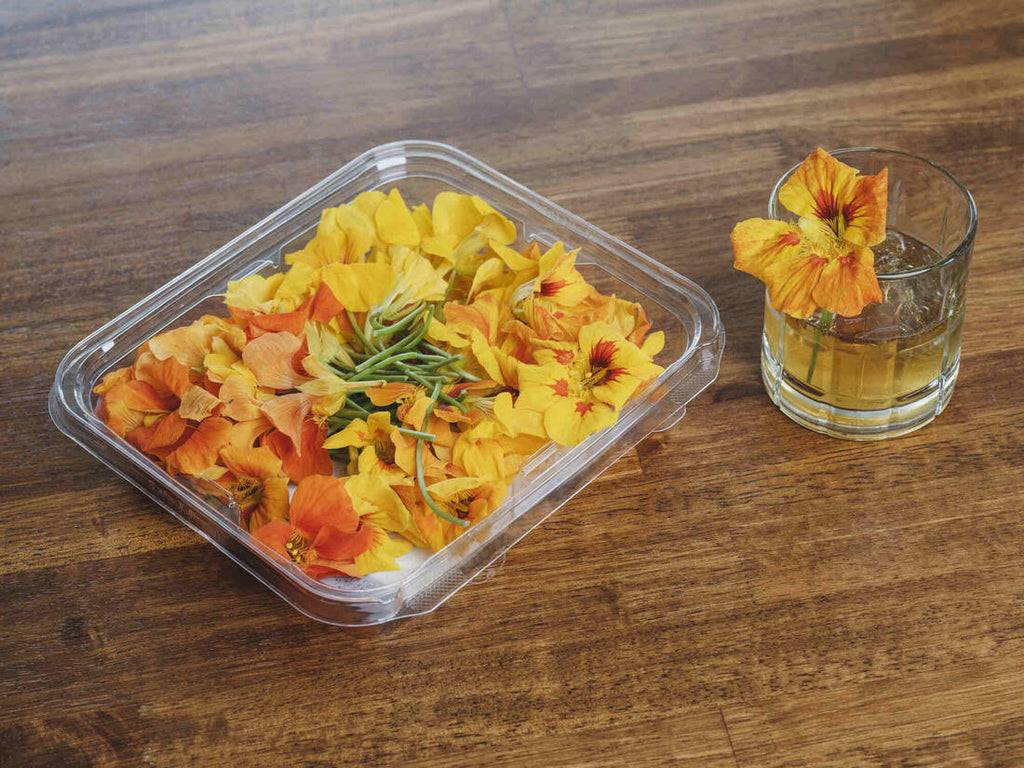 How to use Edible Flowers for Cocktails & Drinks